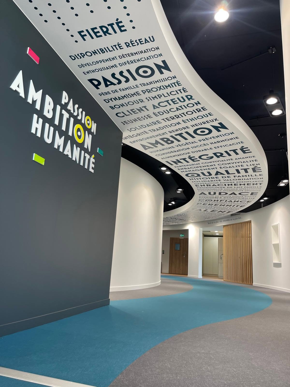 agencement d'entreprise : showroom